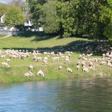 Danubio An Der Donau - Donau-resorium *